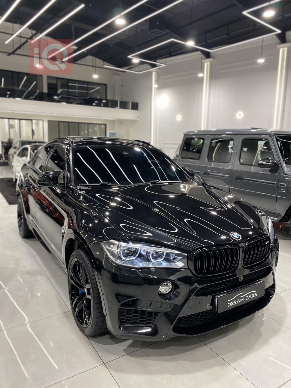 بي ام دبليو X6